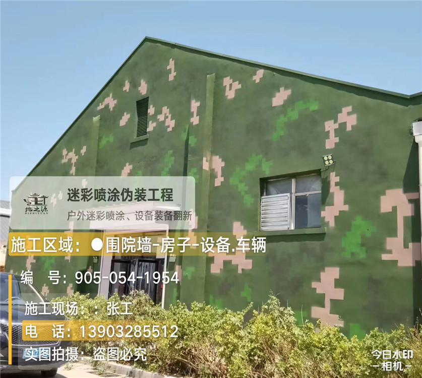 漯河外墙数码迷彩漆施工报价清单（100㎡标准墙面测算）